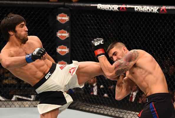 Magomed Mustafaev (luvas azuis) venceu Joe Proctor por nocaute técnico no 1º round