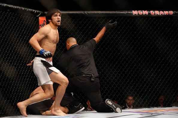 Magomed Mustafaev (luvas azuis) venceu Joe Proctor por nocaute técnico no 1º round