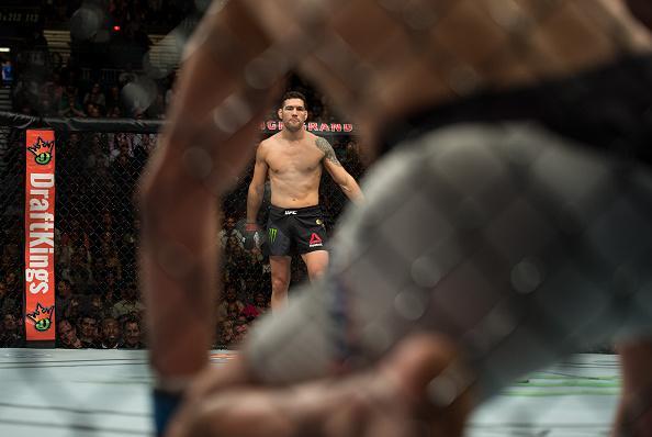 Fotos da batalha entre Luke Rockhold e Chris Weidman