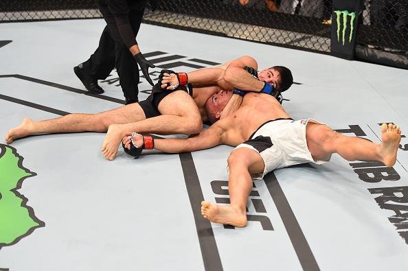 Vicente Luque venceu Hayder Hassan por finalizao a 2min13seg do primeiro round