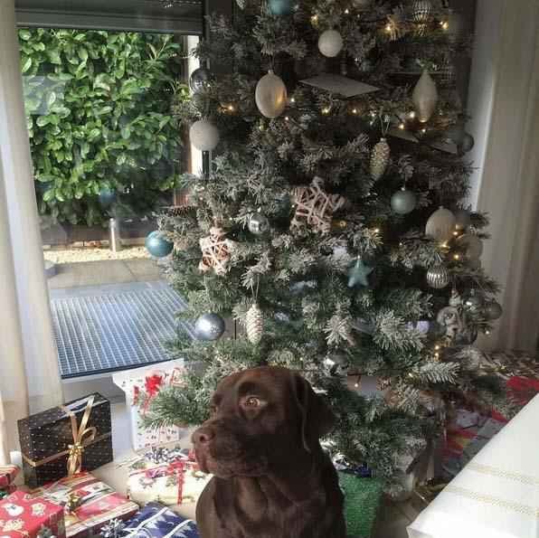 Alemo Podolski, do Galatasaray: 'Merry Christmas'