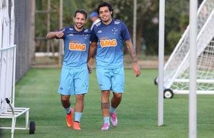 Raposa teve momentos positivos e algumas decep��es durante a temporada 2015