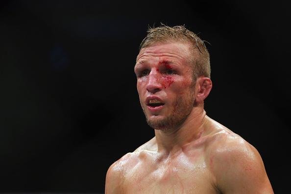 Em luta emocionante e bastante equilibrada, Dominick Cruz supera TJ Dillashaw por deciso dividida dos juzes e recupera cinturo do peso galo do UFC
