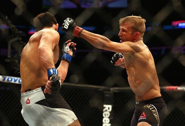 Em luta emocionante e bastante equilibrada, Dominick Cruz supera TJ Dillashaw por deciso dividida dos juzes e recupera cinturo do peso galo do UFC