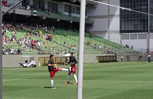 Atltico e Cruzeiro fazem duelo, neste domingo, no Independncia