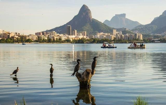 Localizada no corao da cidade, a Lagoa Rodrigo de Freitas recebeu um per temporrio, com capacidade para 10 mil espectadores perto da chegada das provas. Local receber provas de remo e canoagem velocidade