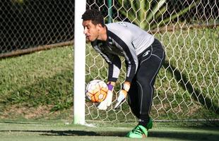 Lauro: contratado s pressas aps as leses de Victor e Giovanni, o goleiro foi inscrito na Copa Libertadores, mas no teve chances no time, nem mesmo no Campeonato Mineiro. Victor j est recuperado e o jovem Uilson continua sendo a opo de banco de Diego Aguirre.