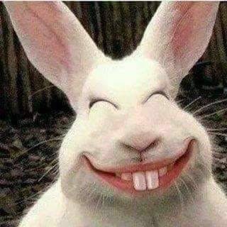 Ttulo mineiro do Amrica rende vrios memes de torcedores pela internet