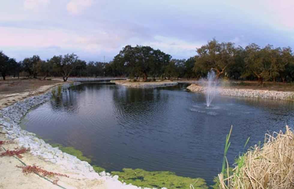Fotos do Centro de Futebol do Sporting Clube de Portugal