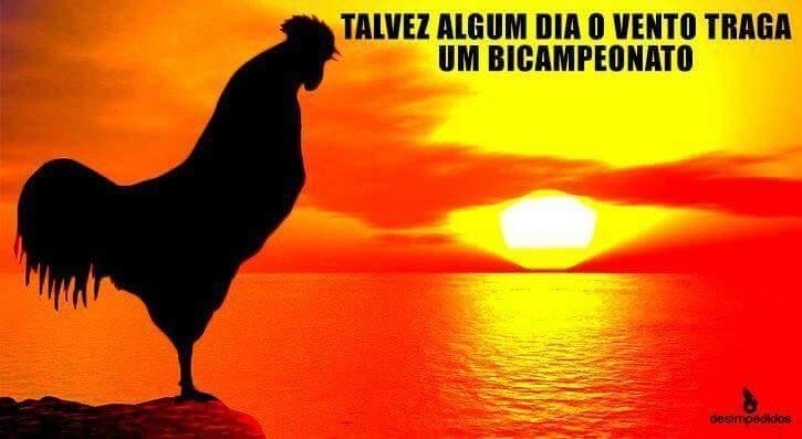 Memes: eliminao do Atltico na Libertadores gera zoeira nas redes sociais