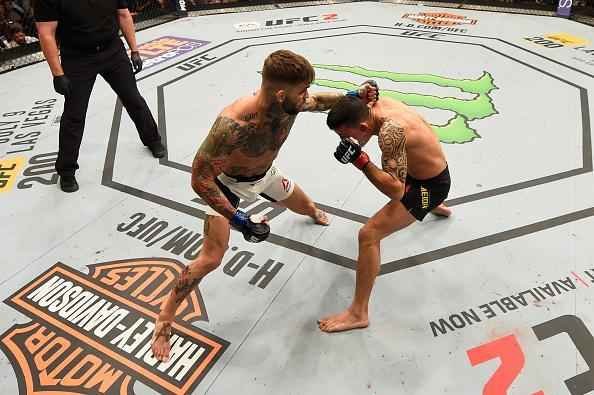 Na luta principal do UFC Fight Night 88, em Las Vegas,  Thomas Almeida foi nocauteado por Cody Garbrandt no primeiro round e perddeu invencibilidade na carreira