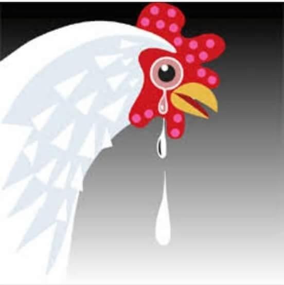 Cruzeirenses provocam atleticanos aps vitria no clssico, e Fred  alvo principal dos memes