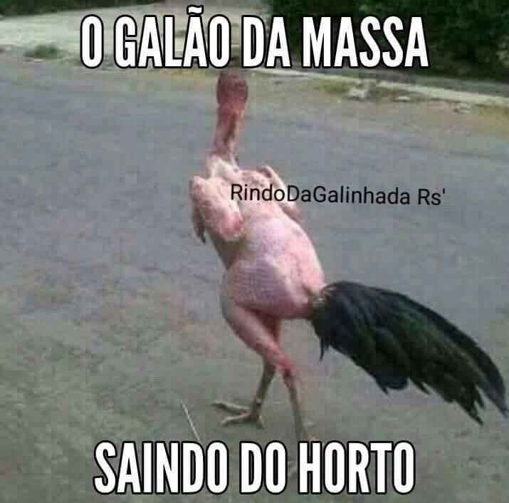 Cruzeirenses provocam atleticanos aps vitria no clssico, e Fred  alvo principal dos memes