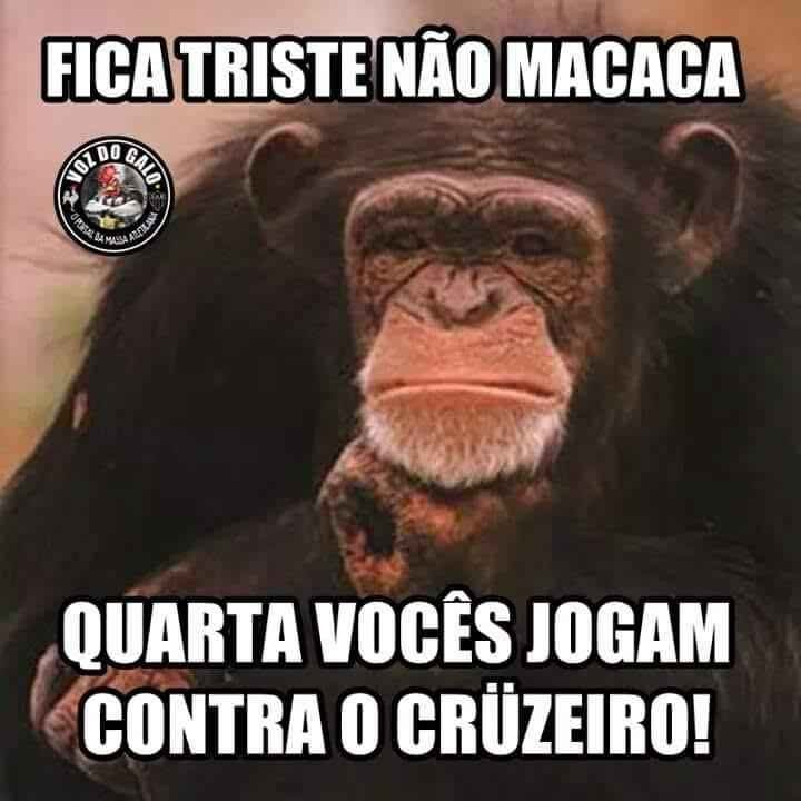 Memes viralizam na internet depois da derrota do Cruzeiro, que virou lanterna do Brasileiro