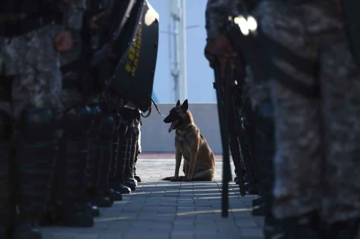 A 30 dias dos Jogos Olmpicos, Fora Nacional assume segurana das arenas do Rio de Janeiro