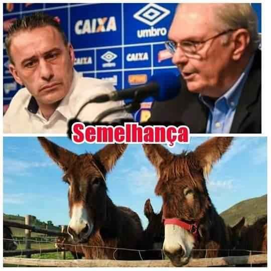 Derrota do Cruzeiro para o Sport gerou muitas provocaes nas redes sociais