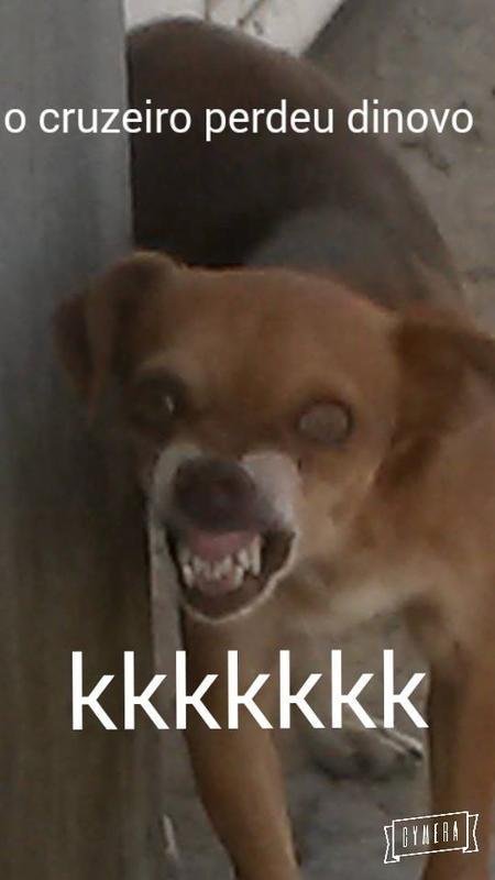 Derrota do Cruzeiro para o Sport gerou muitas provocaes nas redes sociais