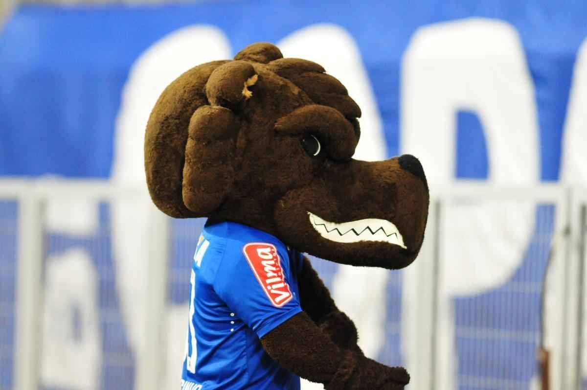 Imagens da torcida do Cruzeiro no jogo contra o Botafogo, pela Copa do Brasil, no Mineiro