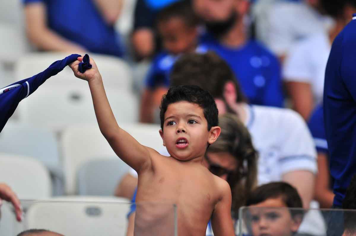 Fotos da torcida do Cruzeiro no jogo deste domingo contra a Chapecoense, no Mineiro (Ramon Lisboa/EM D.A Press)