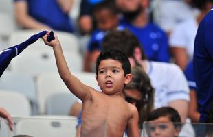 Fotos da torcida do Cruzeiro no jogo deste domingo contra a Chapecoense, no Mineiro (Ramon Lisboa/EM D.A Press)