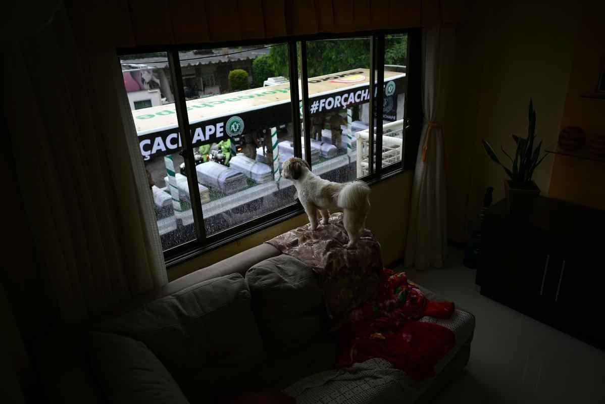 Momento da chegada dos caixes  Arena foi tocante