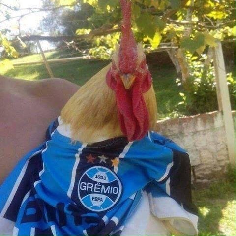 Veja os memes que tomaram conta da internet depois da final da Copa do Brasil