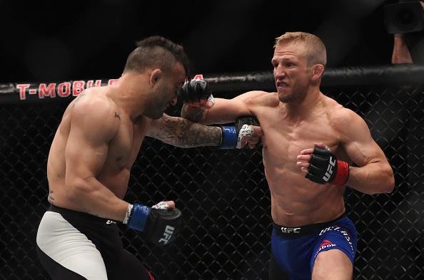 TJ Dillashaw (luvas vermelhas) venceu John Lineker por decisão unânime (triplo 30-26)
