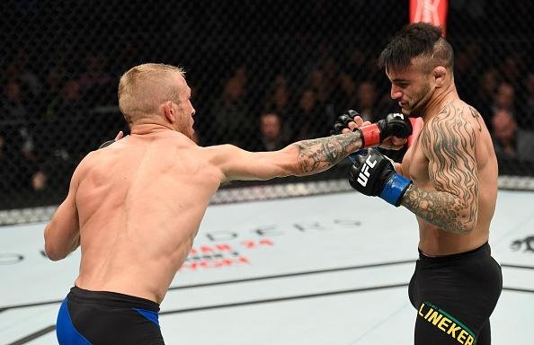 TJ Dillashaw (luvas vermelhas) venceu John Lineker por decisão unânime (triplo 30-26)