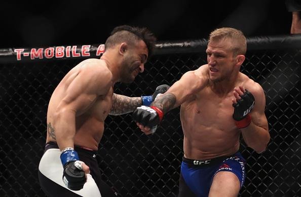 TJ Dillashaw (luvas vermelhas) venceu John Lineker por deciso unnime (triplo 30-26)