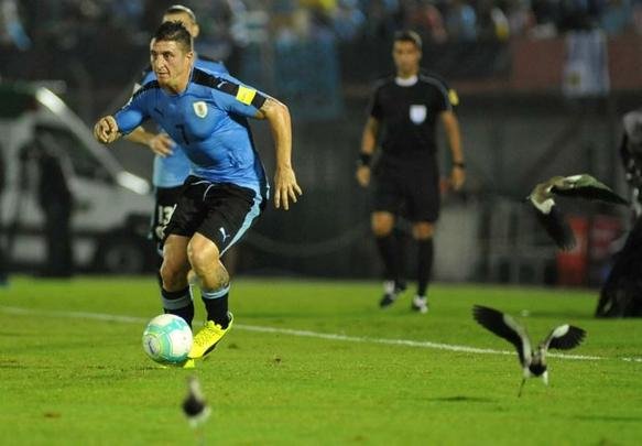 Seleo Brasileira enfrenta a Celeste pelas Eliminatrias para a Copa do Mundo da Rssia