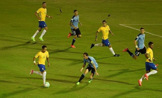 Seleo Brasileira enfrenta a Celeste pelas Eliminatrias para a Copa do Mundo da Rssia