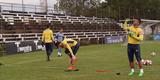 Imagens do treino do Cruzeiro antes do jogo contra o Nacional-PAR, pela Copa Sul-Americana