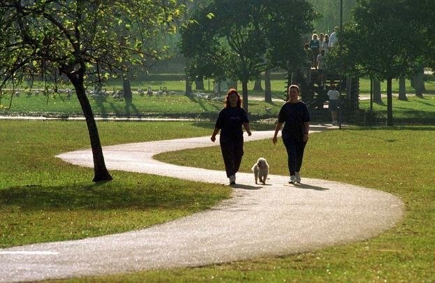 Parque Barigui - O nome tem origem indgena e significa rio do fruto espinhoso, em aluso s pinhas das araucrias nativas, ainda remanescentes. O lugar, uma antiga sesmaria pertencente a Martins Mateus Leme, foi transformado em parque em 1972 pelo ento prefeito Jaime Lerner. Por sua localizao, prximo ao centro da cidade, e sua infraestrutura, o Barigui  o parque mais freqentado de Curitiba. (Entre a Av. Manoel Ribas e a BR-277, acessos: BR-277 e Av. Cndido Hartmann)