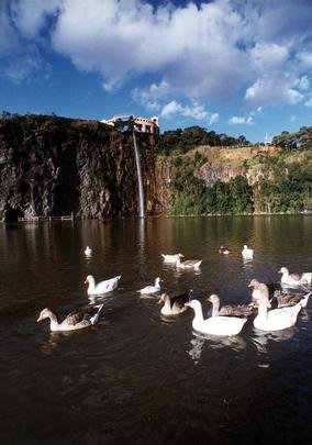 Parque Tangu - Situado nas antigas pedreiras da famlia Gava junto ao rio Barigui, entre os municpios de Curitiba e Almirante Tamandar, este parque, inaugurado em 23 de novembro de 1996, preserva a natureza num local destinado inicialmente para abrigar uma usina de reciclagem de calia e lixo industrial