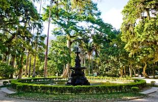 Jardim Botnico - Criado por Dom Joo VI em 1808, rene 8 mil espcies de flores e plantas do Brasil e do mundo. H palmeiras imperiais da poca da fundao. (Rua Jardim Botnico, 1008 - Jardim Botnico)