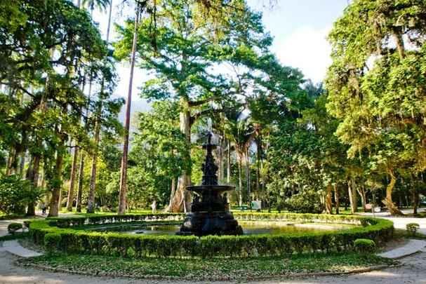 Jardim Botnico - Criado por Dom Joo VI em 1808, rene 8 mil espcies de flores e plantas do Brasil e do mundo. H palmeiras imperiais da poca da fundao. (Rua Jardim Botnico, 1008 - Jardim Botnico)