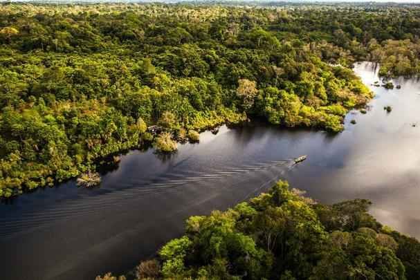 Passeios pela floresta - O ecoturismo pode ser praticado no Amazonas o ano todo, pois a sazonalidade que ocorre na floresta de vrzea, local onde as comunidades vivem, oferece dois belos paisagismos, permitindo ao turista vivenciar a floresta em poca de seca e de cheia (alagada). Alm das caminhadas na floresta, do passeio de canoa nas trilhas aquticas, observando a beleza da natureza e os que vivem nela