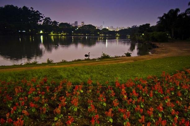 Parque do Ibirapuera - Tem 1,5 milho de metros quadrados muitas opes da lazer: pistas de cooper e de bicicleta, lago, brinquedos infantis, quadras diversas, locais para piqueniques. (Av. Pedro lvares Cabral, s/n %u2013 Porto 3 - www.parquedoibirapuera.com - 11 5574-5045 / 5505 / 5177)