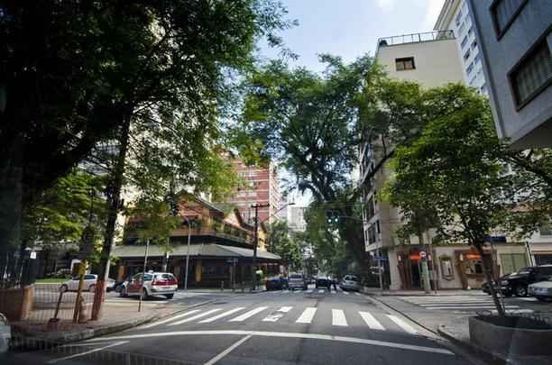 Rua Oscar Freire - Quando se fala em luxo  inevitvel citar a Rua Oscar Freire, situada no charmoso bairro dos Jardins e eleita a oitava rua mais luxuosa do mundo, j que abriga as mais importantes e famosas marcas nacionais e internacionais. 
