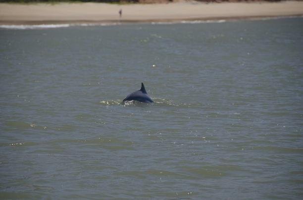 Pipa - A famosa praia localiza-se no municpio de Tibau do Sul, a 85 km de Natal.  o principal balnerio do Litoral Sul do estado, que inclui ainda praias como Ponta do Madeiro e Praia do Amor.