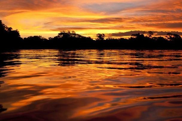 Pantanal Mato-grossense no municpio de Cceres