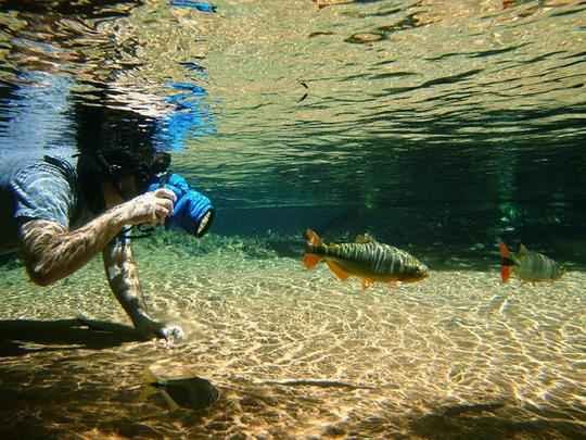 Mergulho de superfcie no municpio de Nobres-MT