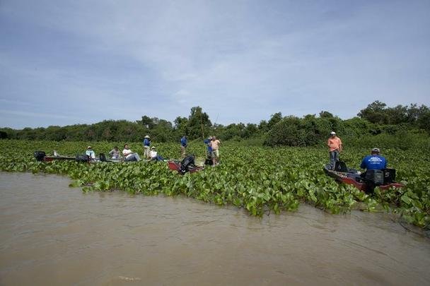 Pantanal Mato-grossense no municpio de Cceres