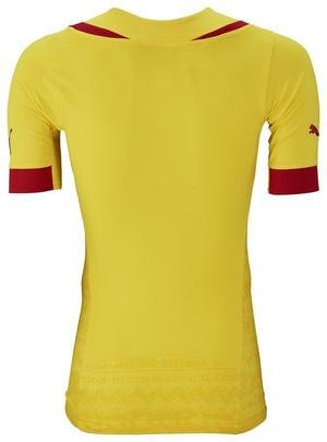 Uniforme produzido pela Puma para a seleo de Camares, para a Copa do Mundo 2014