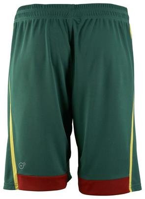 Uniforme produzido pela Puma para a seleo de Camares, para a Copa do Mundo 2014