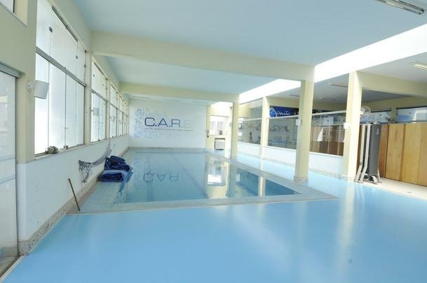 Com nova identidade visual, Toca da Raposa II j est pronta para receber a Seleo Chilena durante a Copa