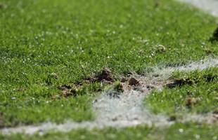 Imagens do jogo no Mineiro, em Belo Horizonte, entre Costa Rica e Inglaterra