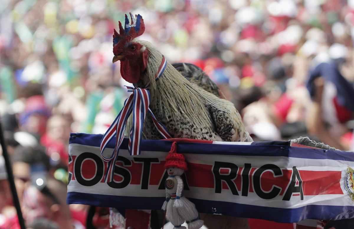 Em San Jos, na Costa Rica, muitos torcedores se envolveram numa briga depois da eliminao da seleo na Copa do Mundo para a Holanda, nos pnaltis, por 4 a 3, em jogo disputado na Fonte Nova, em Salvador. Polcia demorou a conter o tumulto. Antes disso, havia grande expectativa pela classificao indita e tenso tomou conta do pblico em praa da cidade