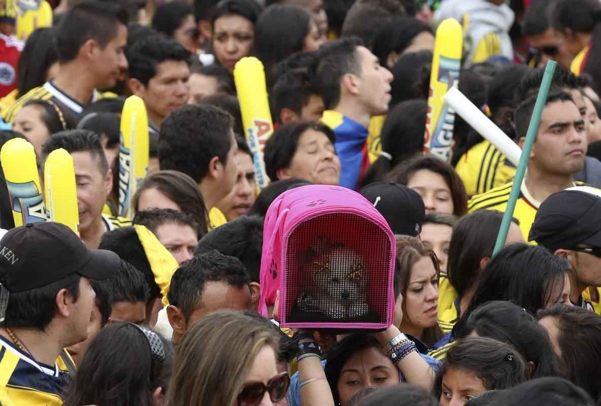 Mais de 100 mil pessoas receberam Seleo Colombiana em Bogot neste domingo