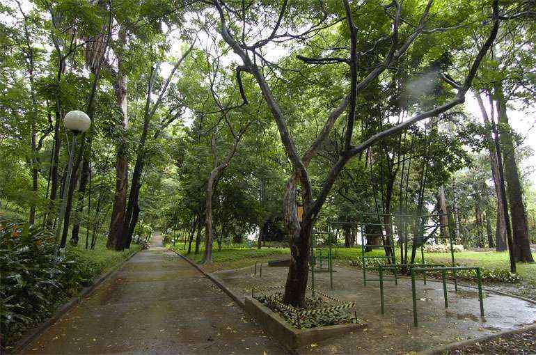 Parque Municipal Amrico Renne Giannetti  um osis de natureza em pleno Centro de Belo Horizonte (Juarez Rodrigues/EM/D.A Press)